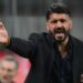 Gattuso ct della Nazionale? Per il 75% degli italiani è la scelta migliore: il sondaggio