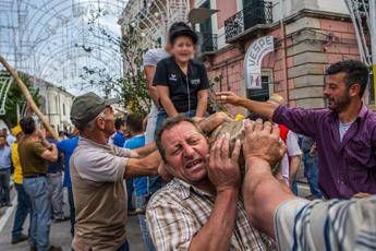 Matera, buoi sulla folla alla processione di Accettura: panico e 5 feriti