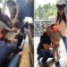 Meghan, Harry e le foto con i figli a Disneyland: è polemica