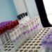 Mielofibrosi, speranze da nuovo farmaco che limita l’anemia in 2 pazienti su 3