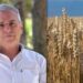 Nutriente, versatile e senza glutine, cos’è il ‘Grano de oro’