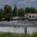 Russia, 14enne torturata in carcere e altri casi. Muratov denuncia: “Tornata figura carnefice di Stato”