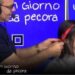 Schlein si tinge ciocca rossa per scommessa: “Un po’ alla Mirko dei Bee Hive”