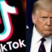 TikTok, Trump: “C’è un acquirente, un gruppo di persone molto ricche”