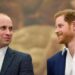 “William e Harry litigavano per le faccende domestiche”: la rivelazione