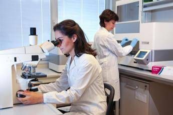 Al Campus Bio‑Medico un dirigente su due è donna: il nuovo Piano di Uguaglianza di Genere