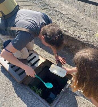 Epis (Statale Milano): “Le zanzare circolano ma la stagione è in ritardo nel Nord Italia”