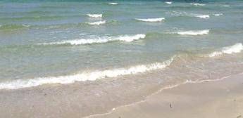 Estate, alert Ecdc: “Con mare più caldo sale rischio infezioni da batteri Vibrio”