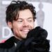 Harry Styles oltre la musica, lancia una linea di… sex toys: “Pleasing Yourself”