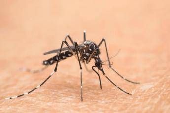 Sanità, esperti: “Campitiello manager capace di gestire emergenze e concretizzare progetti”