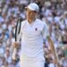 Sinner, dopo Wimbledon può cambiare anche il rapporto con la ‘sua’ Italia