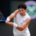 Wimbledon, spalle ‘a pois’ per Shelton contro Sinner. Ecco cos’è la coppettazione