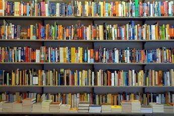 Dall’amore dei cani spiegato da Wynne alla Cuba di Philip Kerr, le novità in libreria