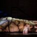Festival Puccini, soprano cade in scena ma conclude la ‘Manon’ da seduta