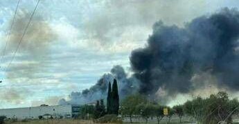 Incendi, 700 nel 2025 e 320 km quadrati in fumo, da Iss consigli salva-aria