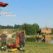 Mantova, 24enne disperso dopo tuffo in bacino idrico: ricerche in corso