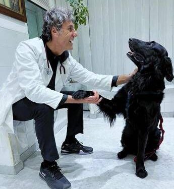 Nelle case degli italiani 8 milioni di cani, compagni ma anche un po’ medici