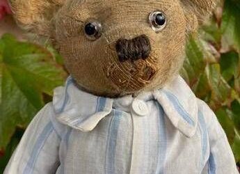 “A Teddy Bear serve un nuovo look”. L’appello della scienza per peluche eco-maestri