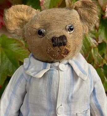 “A Teddy Bear serve un nuovo look”. L’appello della scienza per peluche eco-maestri