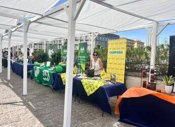 Agricoltura, Nomisma fotografa futuro Campania, tra criticità strutturali e crescita export