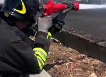 Auto a grande velocità si ribalta nel Trevigiano: un morto e un ferito