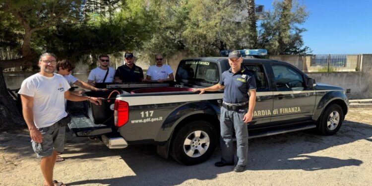Due tartarughe marine ritornano in mare dopo il recupero a Leuca