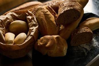 Food, ‘Pane Nostrum 2025’: in scena l’eccellenza dell’arte bianca a Senigallia