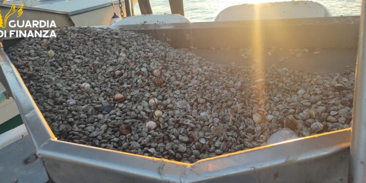 Montesilvano (PE) – Raccolta illegale di vongole