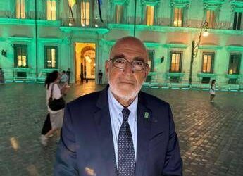 Sla, Sabatelli (Nemo): “In nostri centri multidisciplinarietà e interdisciplinarità”