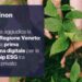 ChainOn vince gara Regione Veneto per piattaforma partnership Esg tra pubblico e privato
