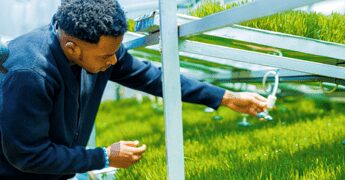 Coltivare senza terra per produrre cibo ovunque, la scommessa di Smartel in Nigeria