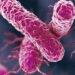 Farmaci, dall’Italia un anticorpo contro il superbatterio Klebsiella pneumoniae
