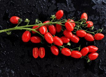 Focolai di salmonella rara in Europa, si rafforza l’ipotesi pomodorini