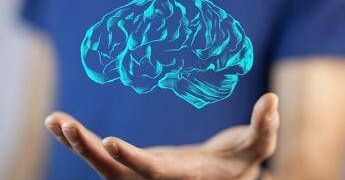 Il cervello cresce e invecchia, i 4 compleanni importanti per la mente: lo studio