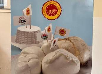 La mozzarella di bufala campana Dop raggiunge un pubblico digitale di 37 milioni di utenti