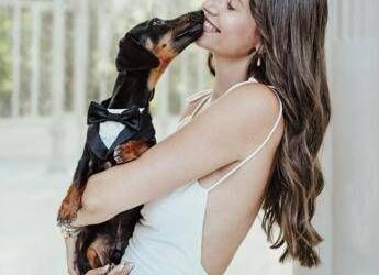 Matrimoni, ecco il look per l’amico a 4 zampe garantiti comfort qualità e un’eleganza senza tempo