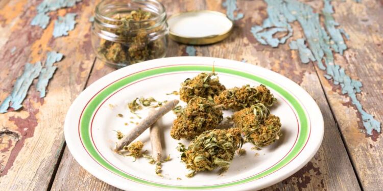 Polizia nazionale spagnola: Sequestrate 20 tonnellate di hashish nascoste tra i peperoncini nei camion frigo provenienti dal Marocco