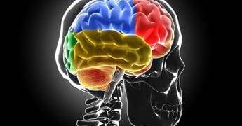 Sistema di ‘lavaggio’ in tilt, ecco cosa succede al cervello senza sonno