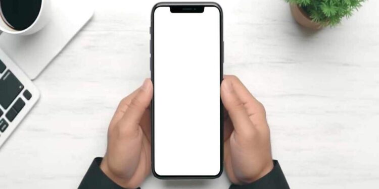 TIM Business per aziende, le offerte per comunicare senza intoppi