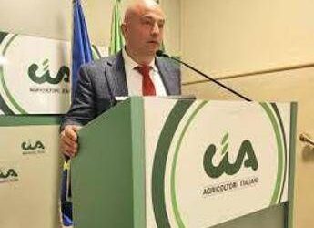 Ue, Grillo (Turismo Verde-Cia): “Bene via libera a direttiva Breakfast, valore a prodotti contadini”