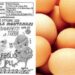Uova ritirate dal mercato per rischio salmonella: il lotto, dove sono vendute