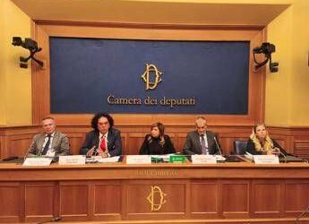 Vaccini anti-Rsv, appello di specialisti e pazienti per rimborsabilità in adulti fragili