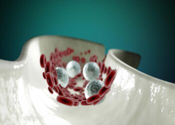 Microambiente tumorale e cellule immunitarie: come l’ecosistema del cancro influenza la progressione