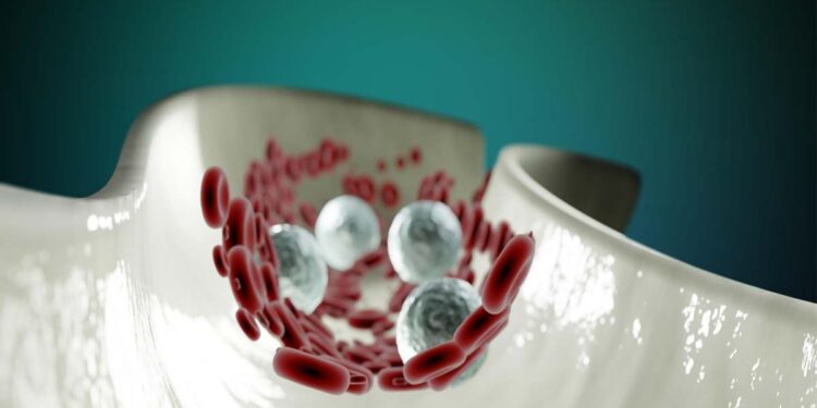 Microambiente tumorale e cellule immunitarie: come l’ecosistema del cancro influenza la progressione