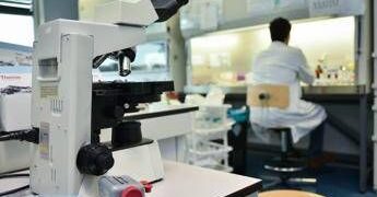 Alzheimer, ecco le cellule che possono ‘pulire’ il cervello: lo studio