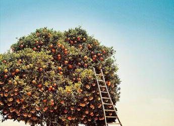 Carmine Abate vince il Premio Biella Letteratura e Industria