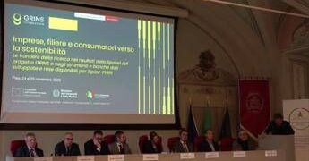 Imprese: Grins, strumenti e strategie per la transizione verde