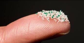 Medici ambiente, ‘da cervello a placenta microplastiche ovunque nel nostro corpo