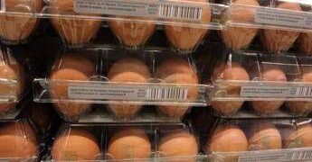 Quanti errori in cucina, dal frigo all’igiene: il decalogo dell’Iss per pasti sicuri