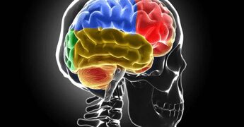 Sclerosi multipla, Bandiera (Aism): “Caregiver fondamentali ma ancora invisibili”